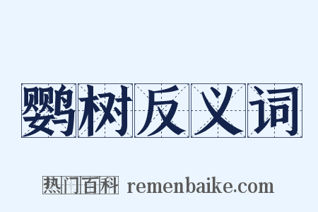 鹦树反义词是什么意思的图片